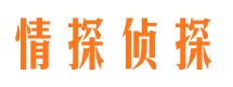 南县情探私家侦探公司